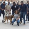 Taharrush gamea, branchi islamici a caccia di italiane da stuprare: emergenza di